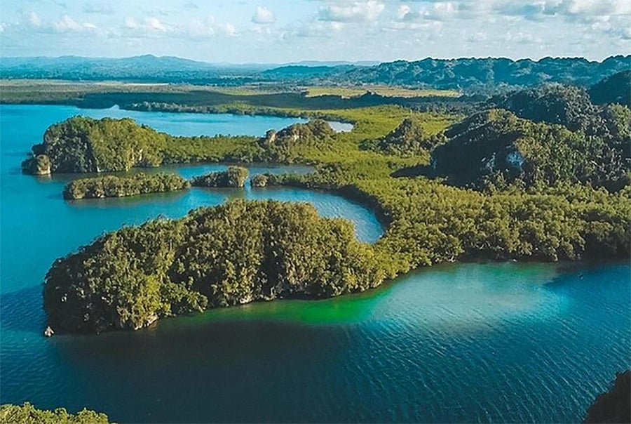 Do the Best Tours to HAITISES PARK from Samana Dominican Republic with ADOLFO!